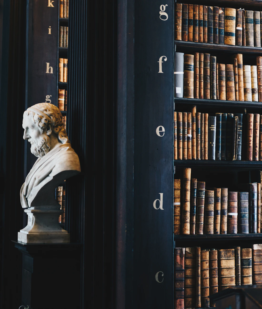Classical library with marble busts